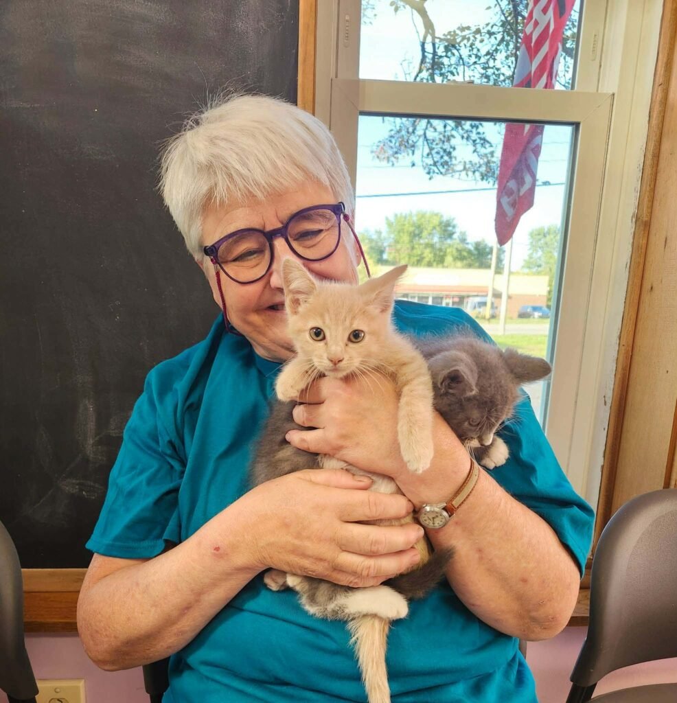 b19e2364-bc03-4ad8-bd7a-203d773f5acc